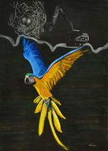 The Macaws versus the human hand - ARTEC