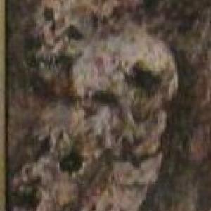 Portrait de harai